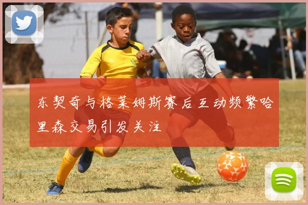 东契奇与格莱姆斯赛后互动频繁哈里森交易引发关注