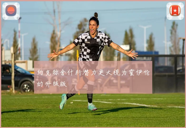 约克称舍什科潜力更大视为霍伊伦的升级版