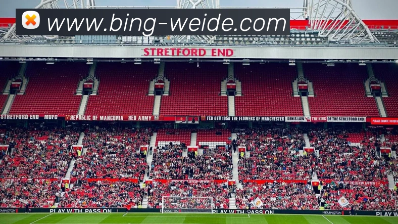 多媒体互动体验