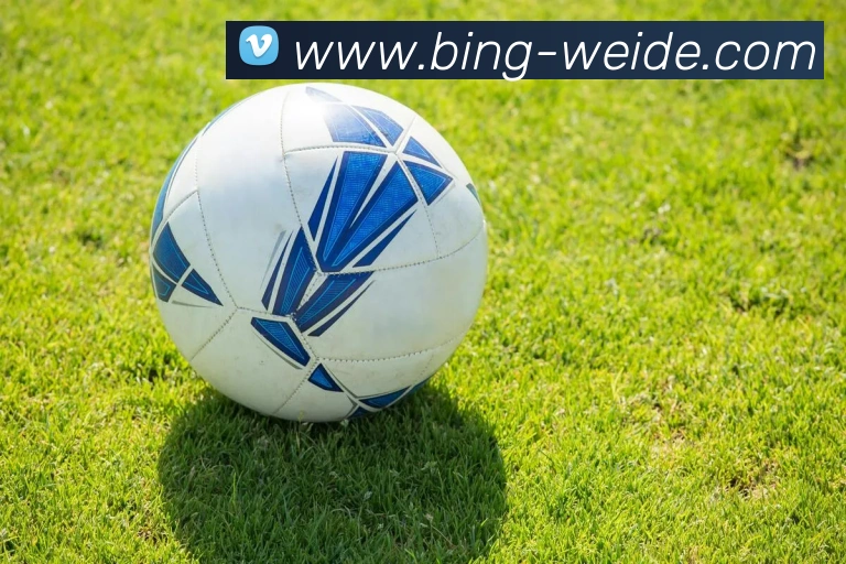 伟德体育APP 高清赛事图